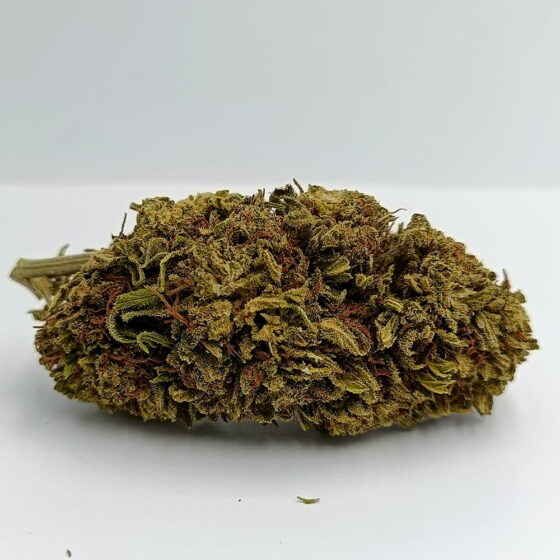Critical Cristal Bud