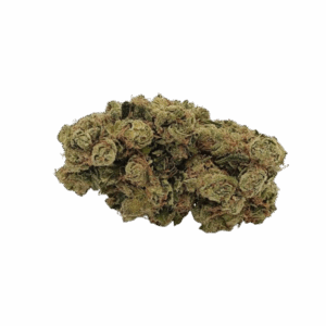 Alternative view of Amnésia Small Bud Indoor