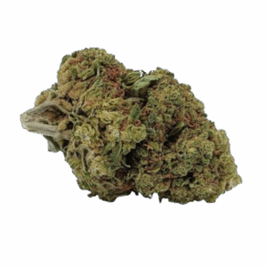 Alternative view of Harlequin Bud