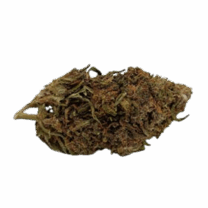 Alternative view of Purple Bud
