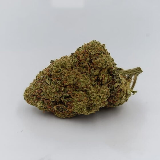 Amnésia 60%