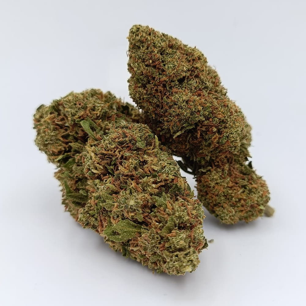 Gélato – Image 2