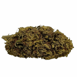 Alternative view of Blueberry Bud Greenhouse