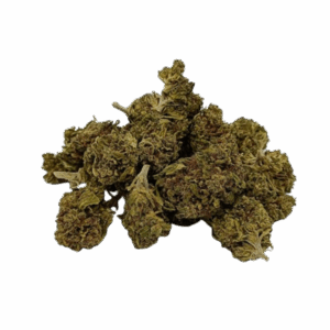 Alternative view of Blueberry Small Bud