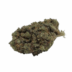 Alternative view of Cherry Pie Bud Indoor