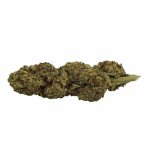 Alternative view of Lemon Bud Indoor