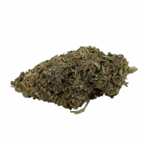 Alternative view of Purple Bud Indoor
