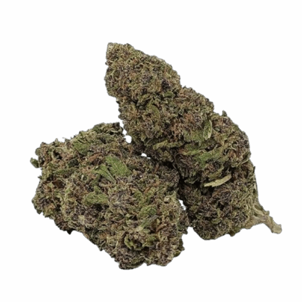 Purple Bud Indoor – Image 3