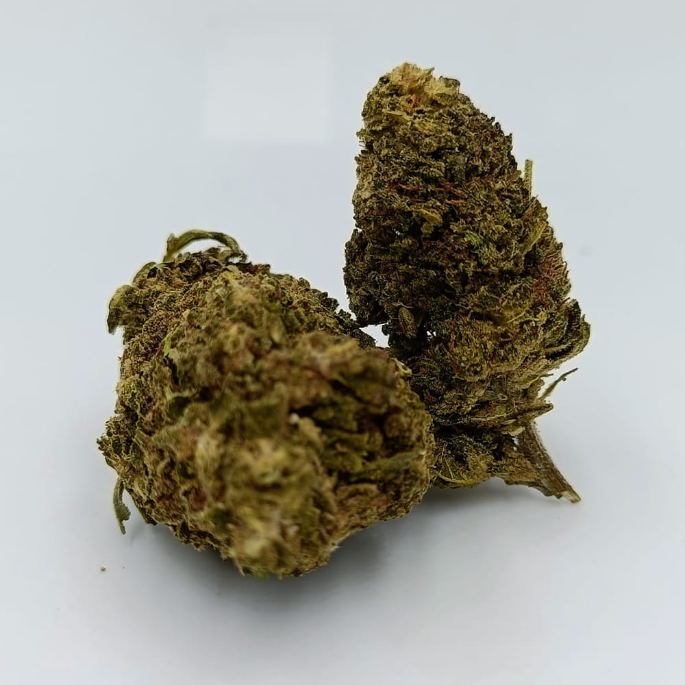 Elite – Image 2