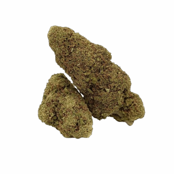 Lifter Bud Indoor – Image 3