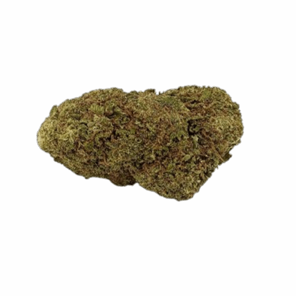 Lifter Bud Indoor – Image 2