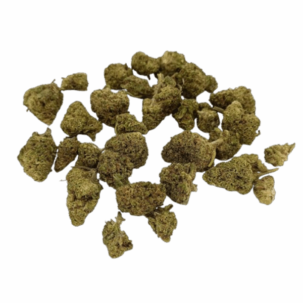 Lifter Small Bud Indoor – Image 3