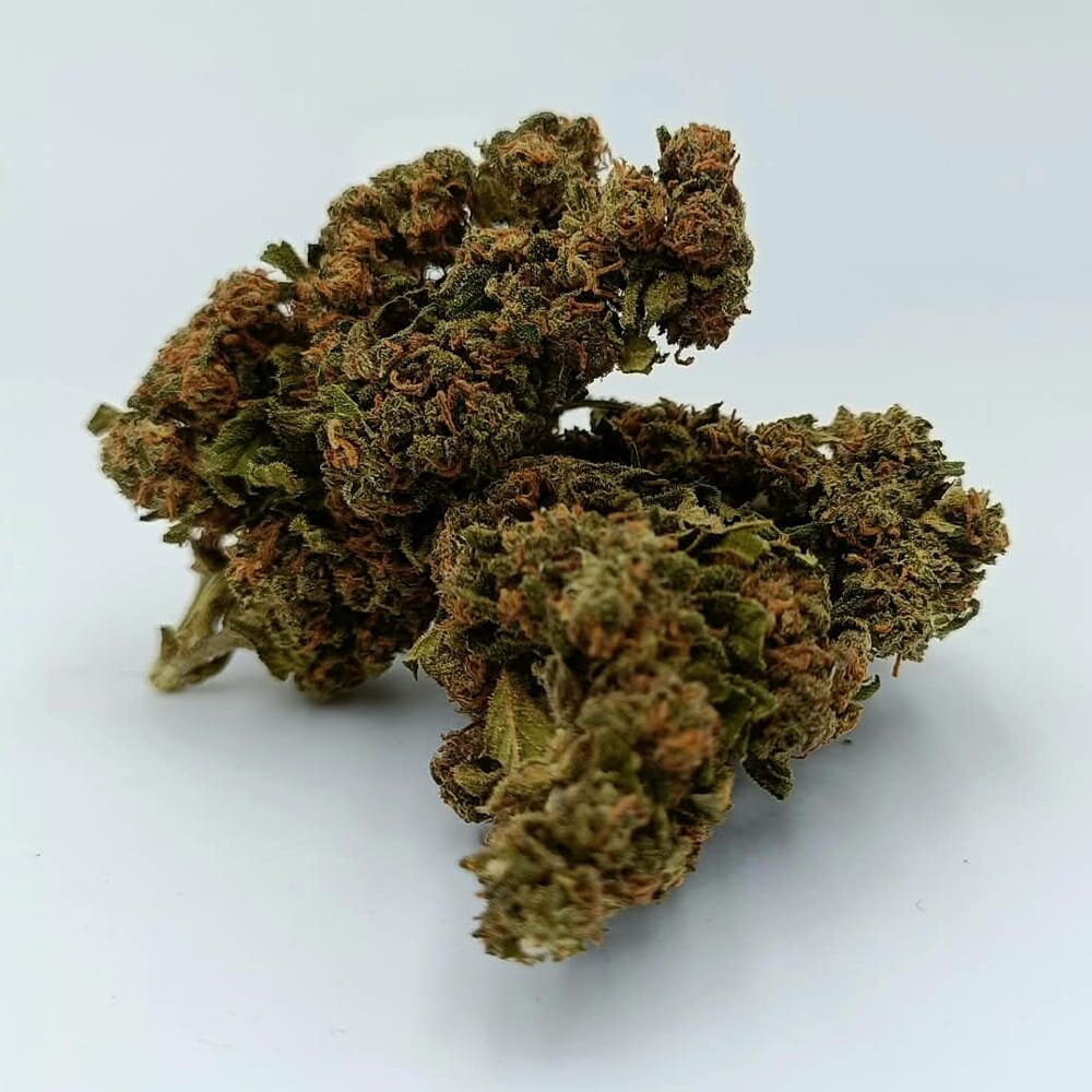 Master Kush 40% – Image 2