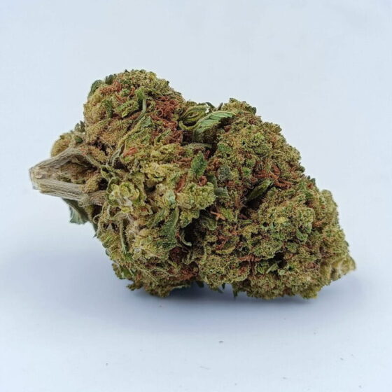 Nothern Lights Bud 40%