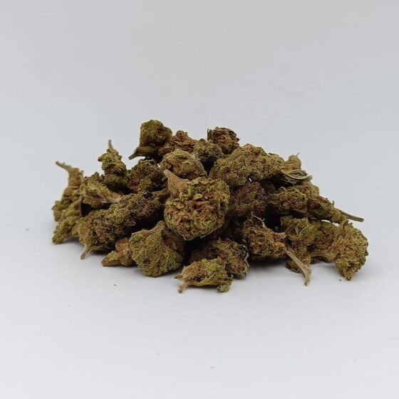 Amnésia Small Bud