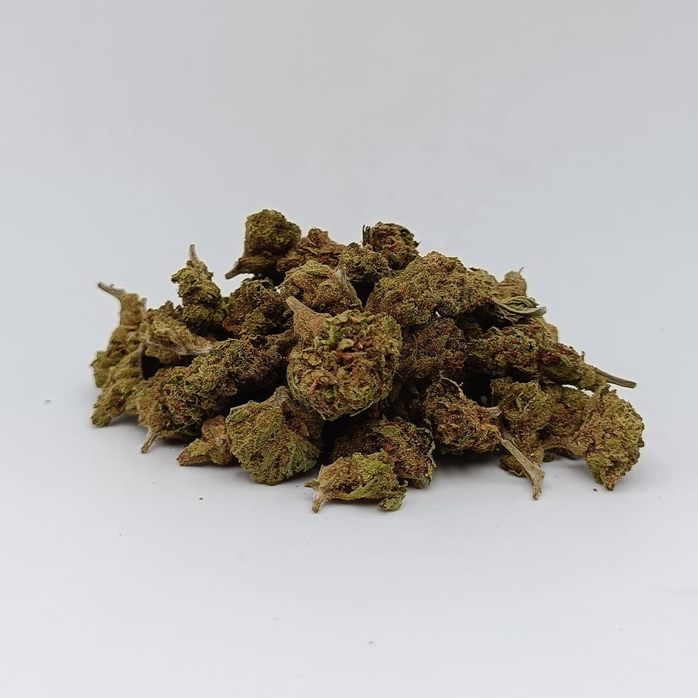 Amnésia Small Bud