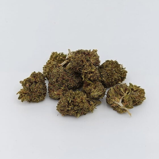 Bubble-Gum Small Bud