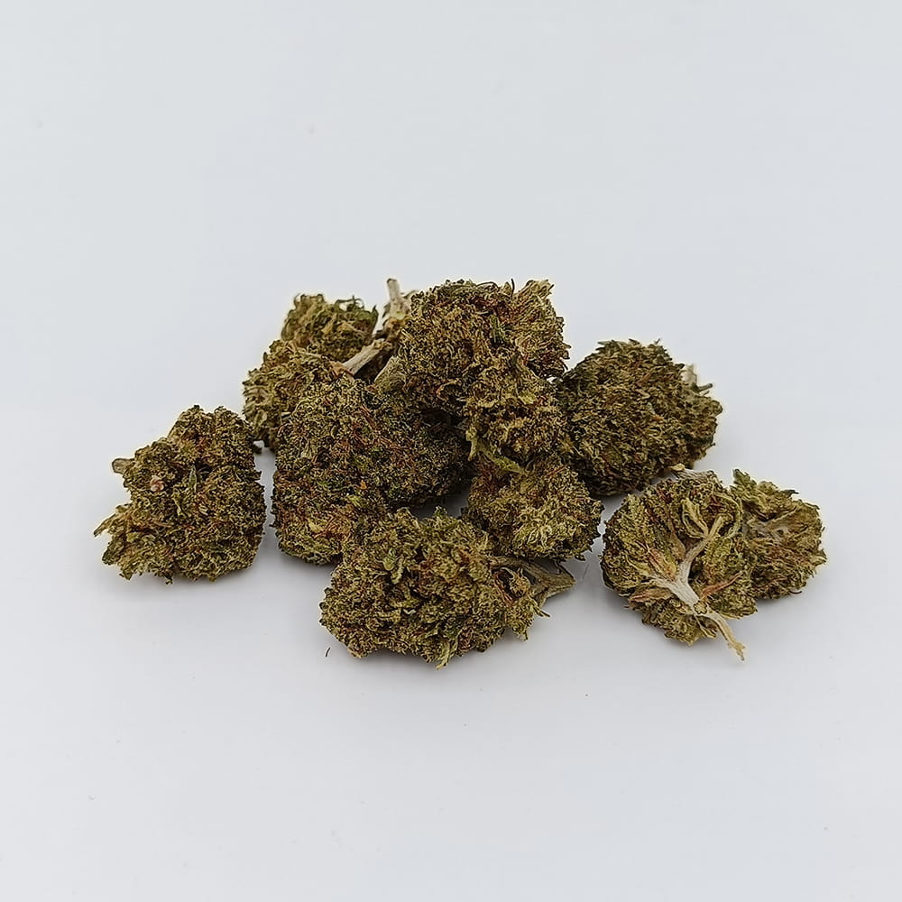 Bubble-Gum Small Bud