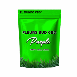 Purple Bud Indoor