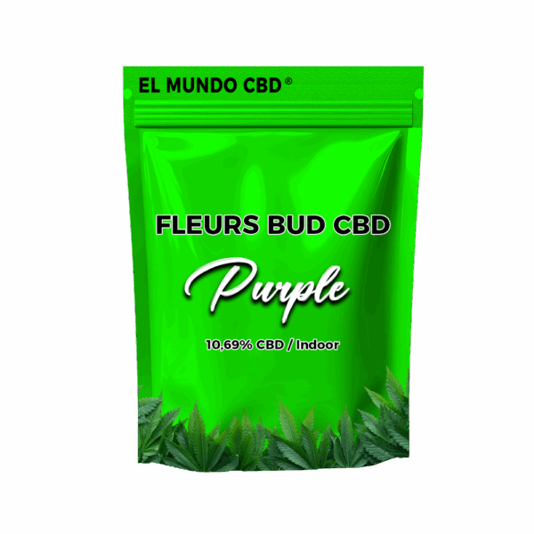 Purple Bud Indoor