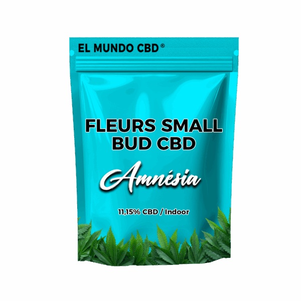 Amnésia Small Bud Indoor
