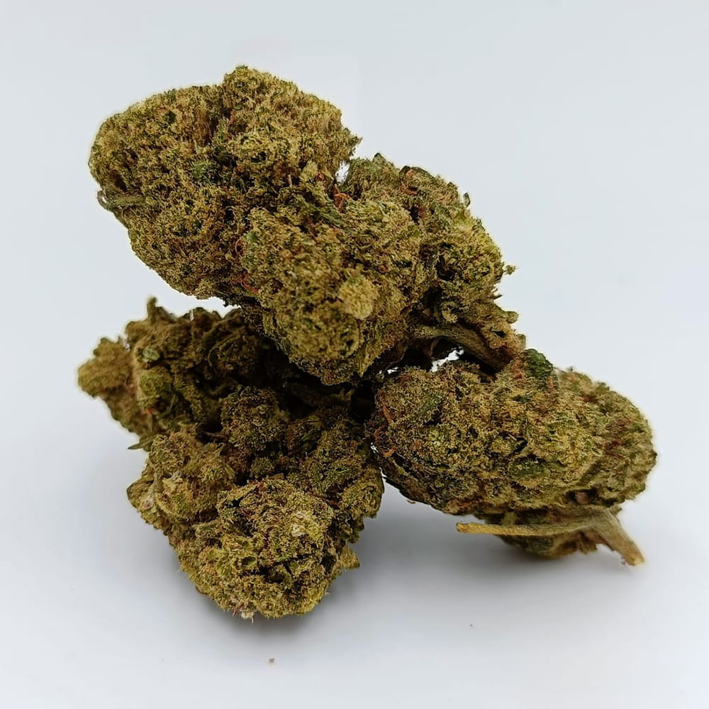 Prime – Image 2