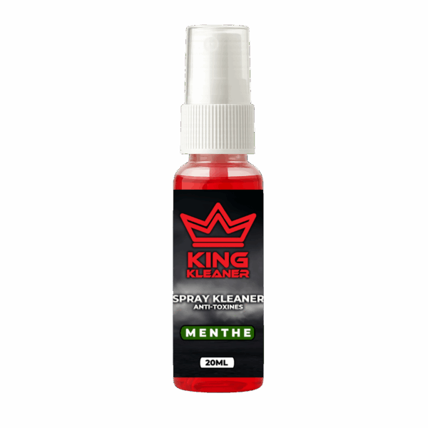 King Kleaner Chewing-Gum Menthe