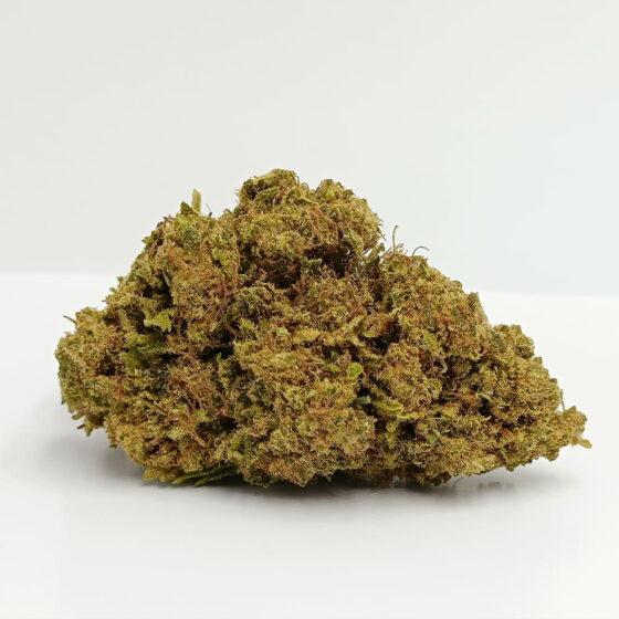 Amnésia Bud